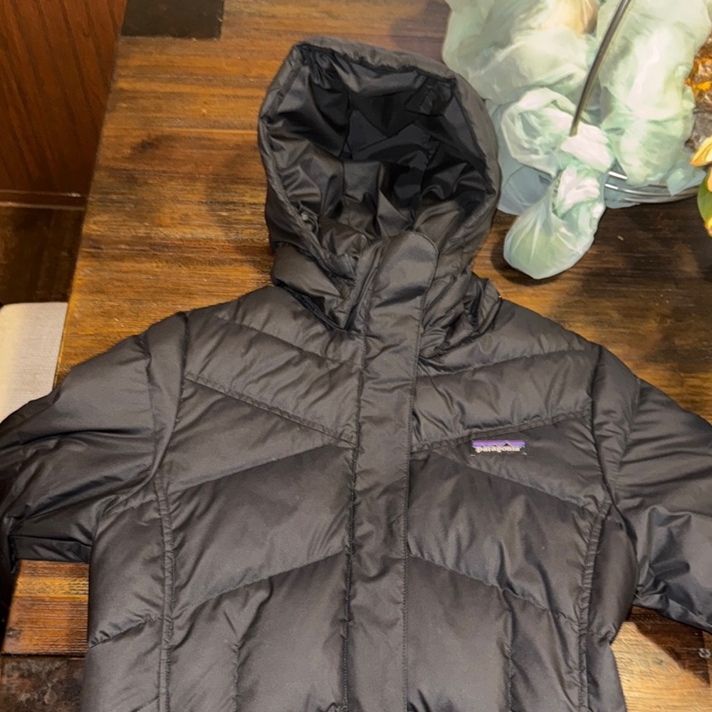 Patagonia Black Hooded Down Jacket